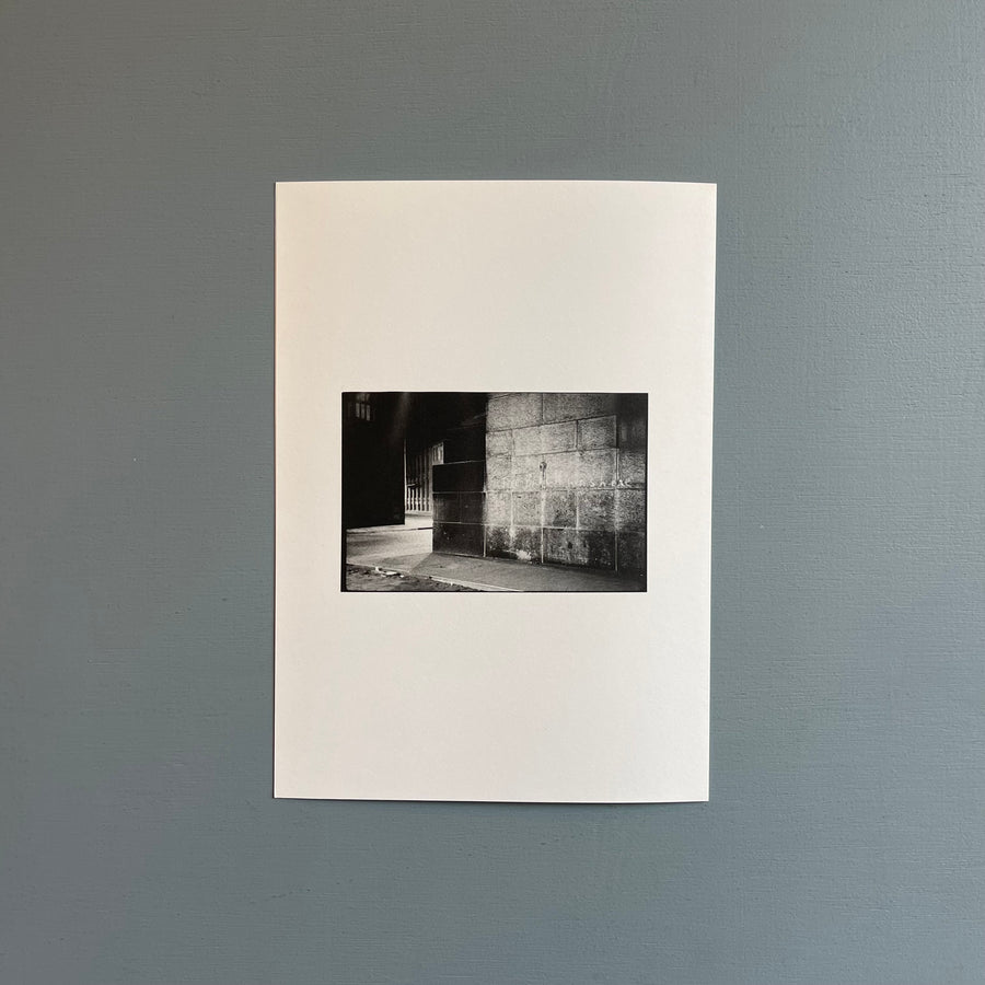 William Gedney/John Cage - Iris Garden - Little Brown Mushroom 2013 - Saint-Martin Bookshop