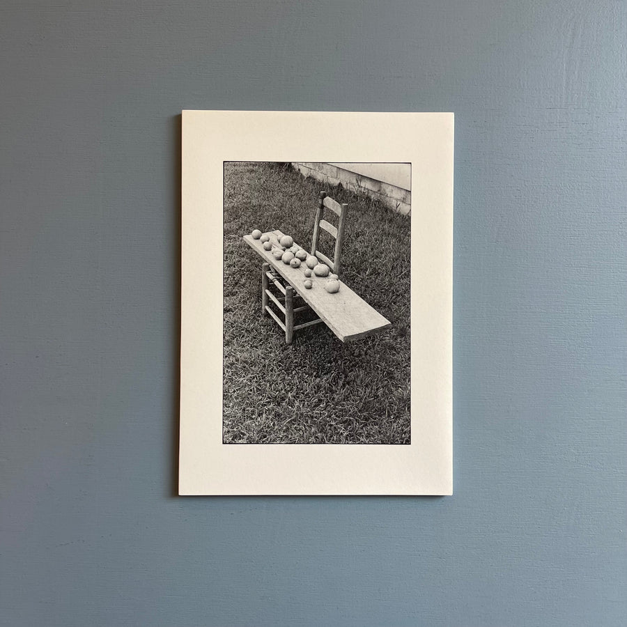 William Gedney/John Cage - Iris Garden - Little Brown Mushroom 2013 - Saint-Martin Bookshop