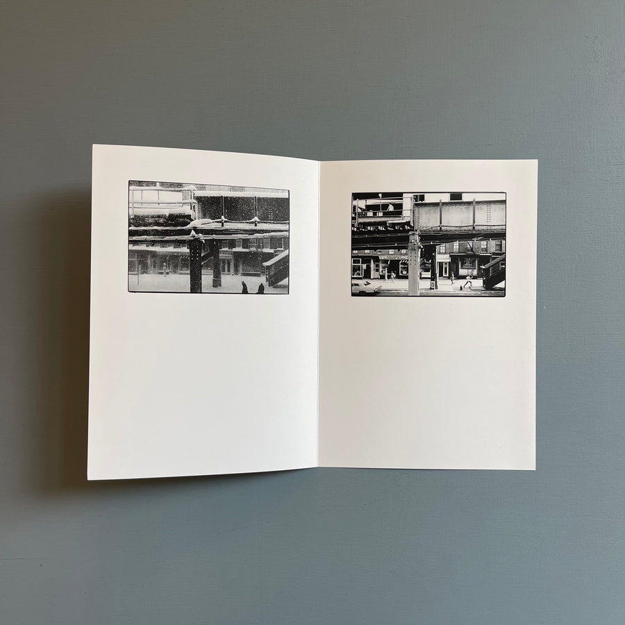 William Gedney/John Cage - Iris Garden - Little Brown Mushroom 2013 - Saint-Martin Bookshop