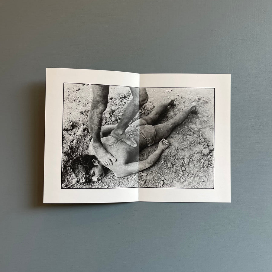 William Gedney/John Cage - Iris Garden - Little Brown Mushroom 2013 - Saint-Martin Bookshop
