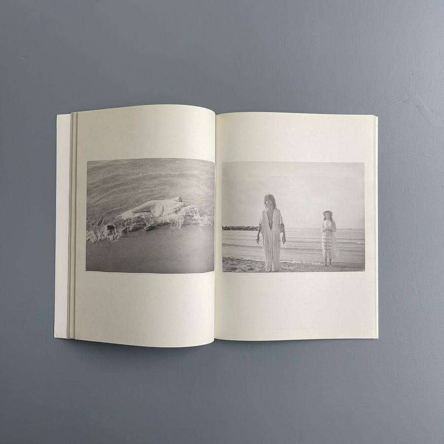 Vincent Darré - Vincent - Purple Book 2009 - Saint-Martin Bookshop