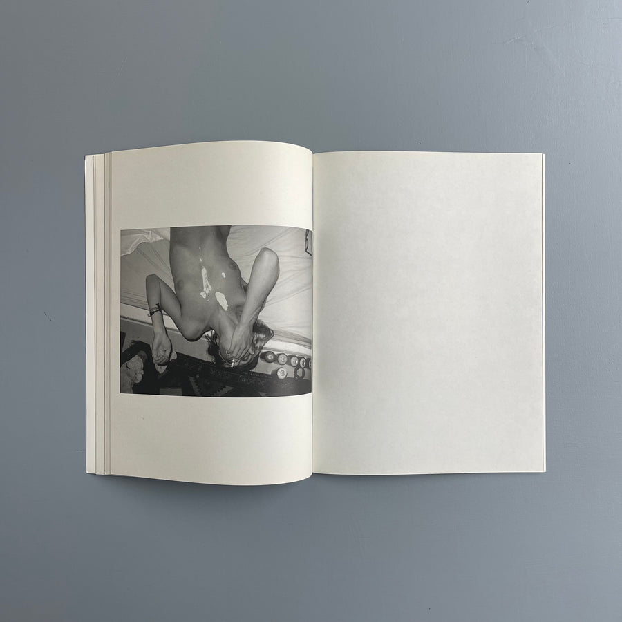 Aurel Schmidt - Pussy - Purple Book 2010 - Saint-Martin Bookshop