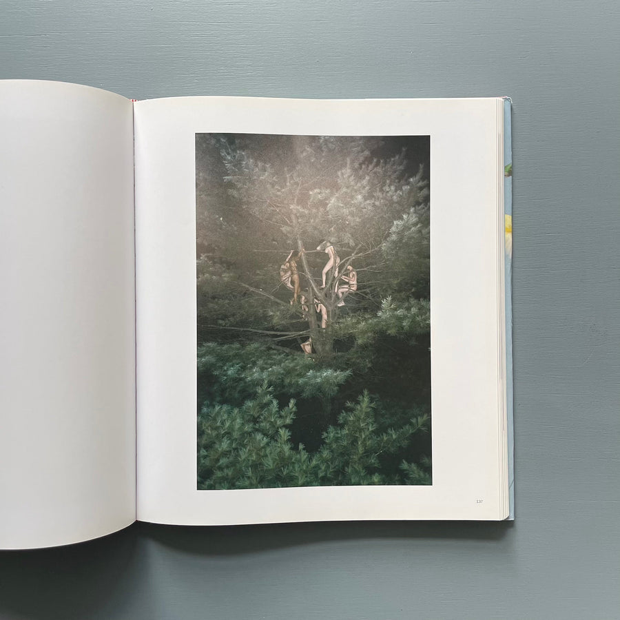 Ryan McGinley 写真集 Whistle for the Wind Ryan McGinley Ryan McGinley 写真集 Whistle for the Wind Ryan McGinley