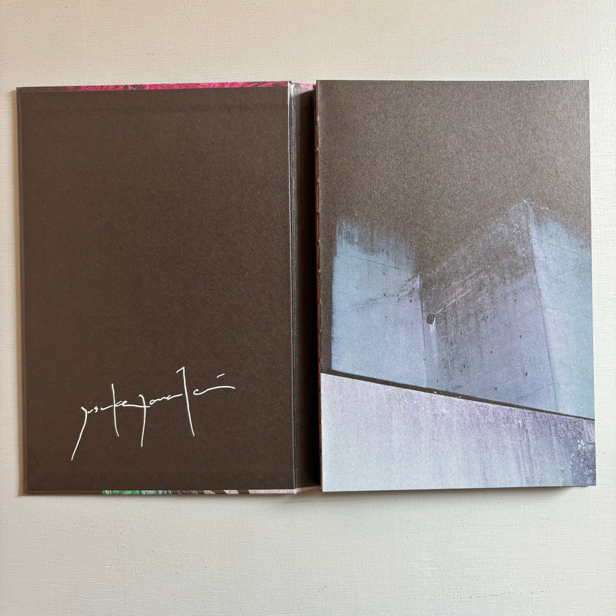 Yusuke Yamatani (signed) - Into the light (special edition A) - T&M Projects 2017 - Saint-Martin Bookshop