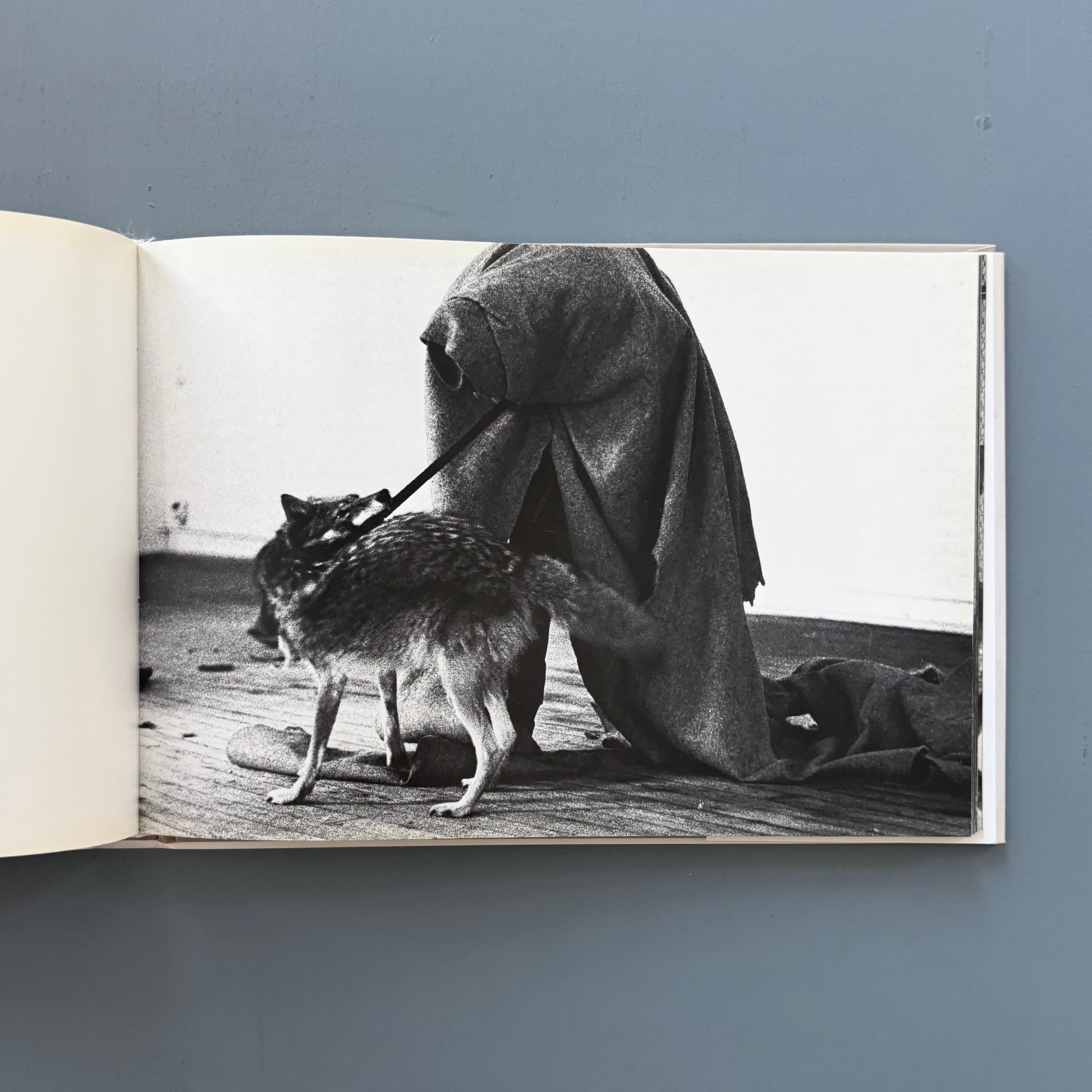 Joseph Beuys - Coyote - Thames & Hudson 2008 - Saint-Martin Bookshop