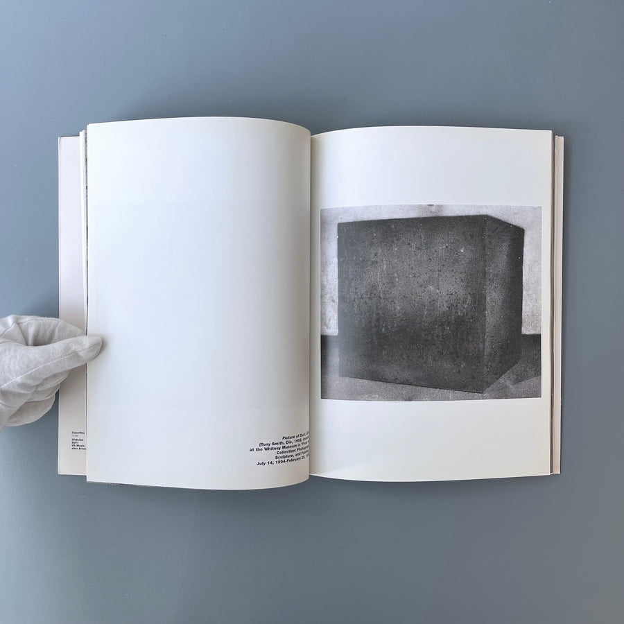 Vik Muniz / Ernesto Neto - XLIX Biennale di Venezia 2001 - Saint-Martin Bookshop