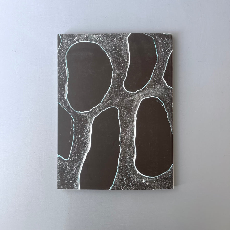 Vik Muniz / Ernesto Neto - XLIX Biennale di Venezia 2001 - Saint-Martin Bookshop