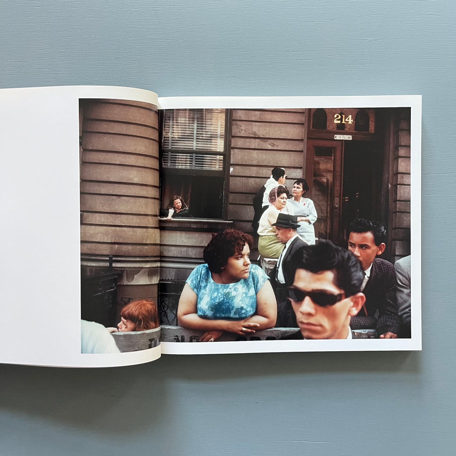 Joel Meyerowitz - Retrospective - König 2014 - Saint-Martin Bookshop