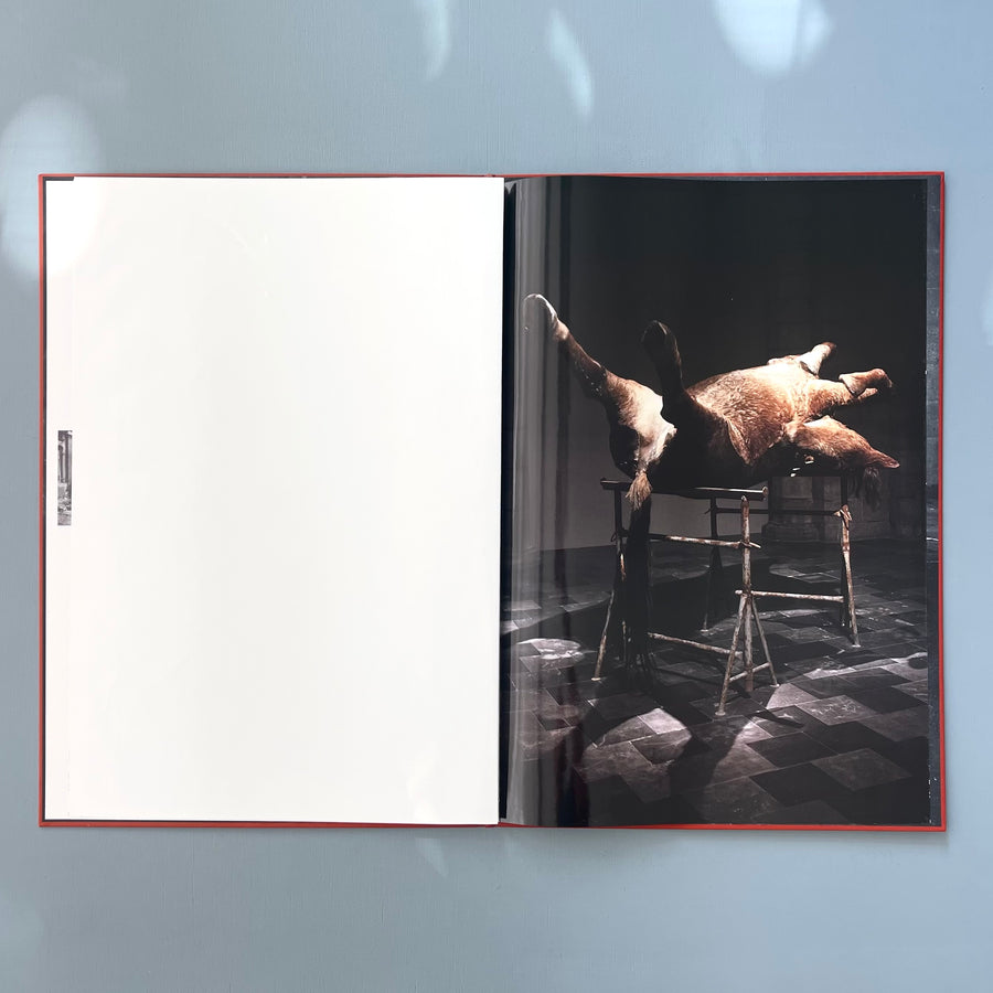 Berlinde De Bruyckere - In Flanders Fields - Flanders Fields Museum 2000 - Saint-Martin Bookshop