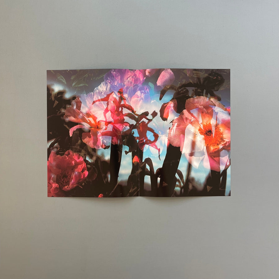Peter Fischli, David Weiss - Musée d'Art Moderne de la Ville de Paris - Konig 1999