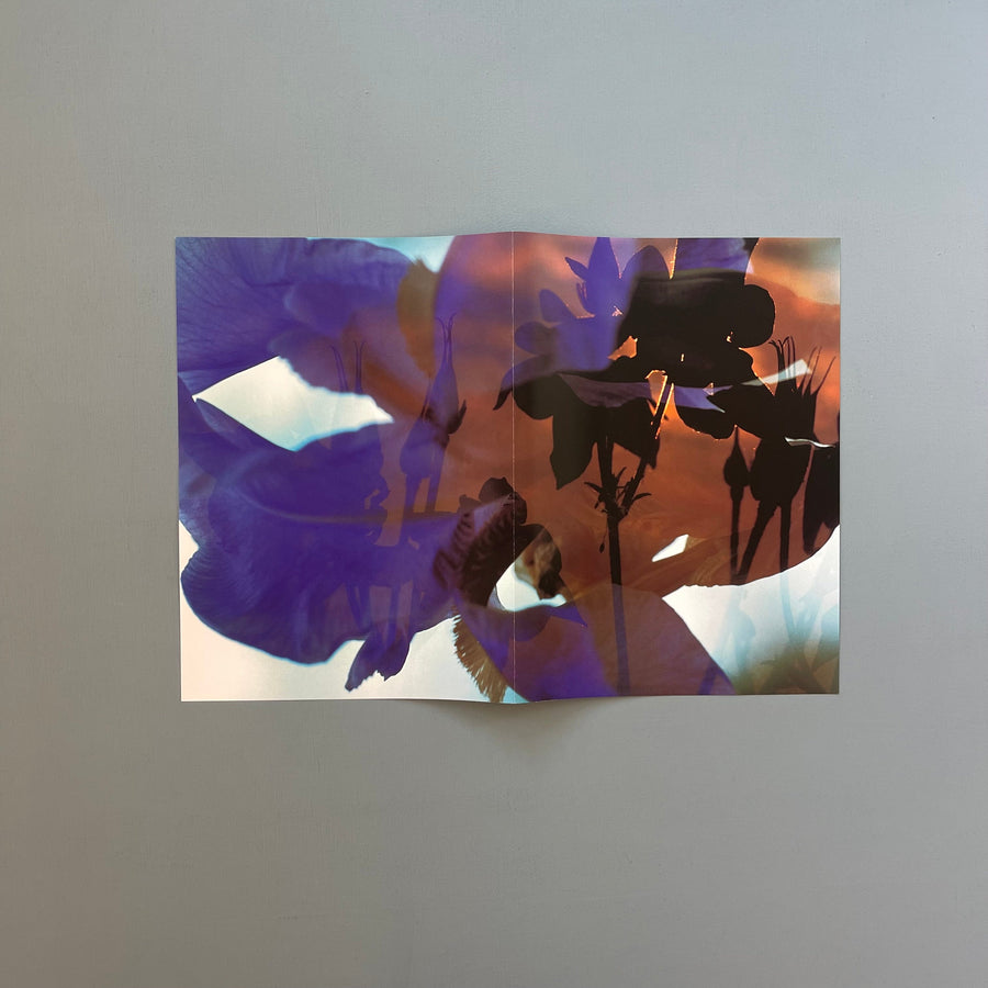 Peter Fischli, David Weiss - Musée d'Art Moderne de la Ville de Paris - Konig 1999