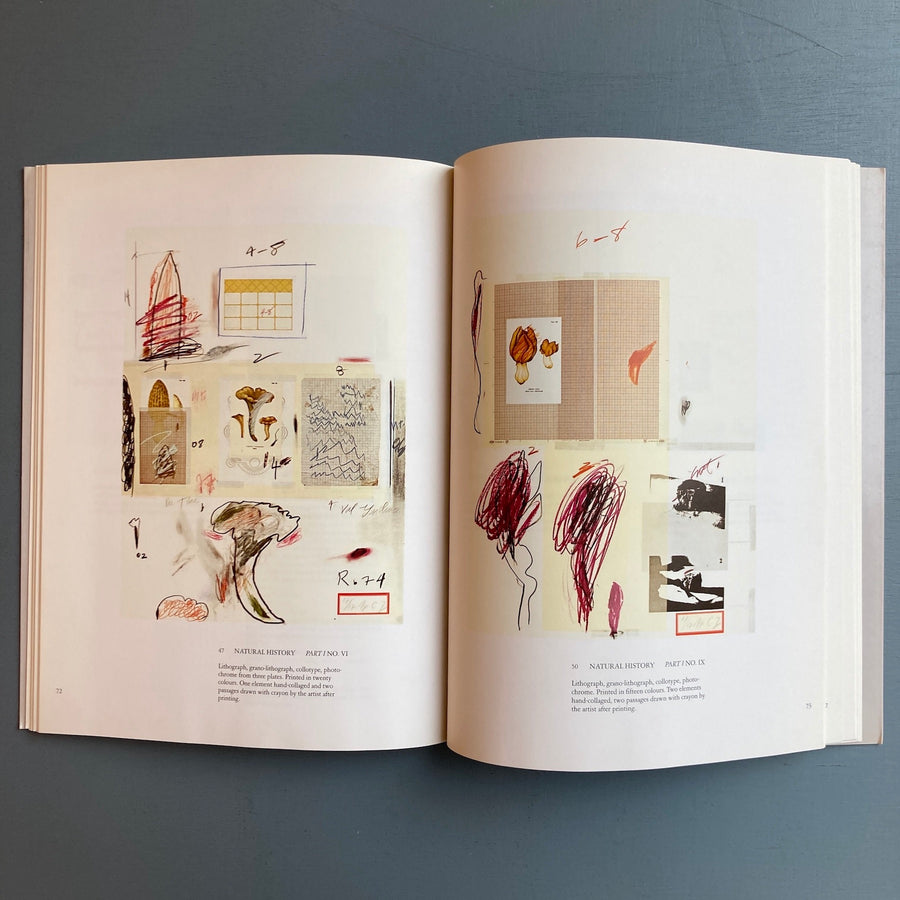 Cy Twombly - Das Graphische Werk  1953-1984 - Schellmann 1984 - Saint-Martin Bookshop