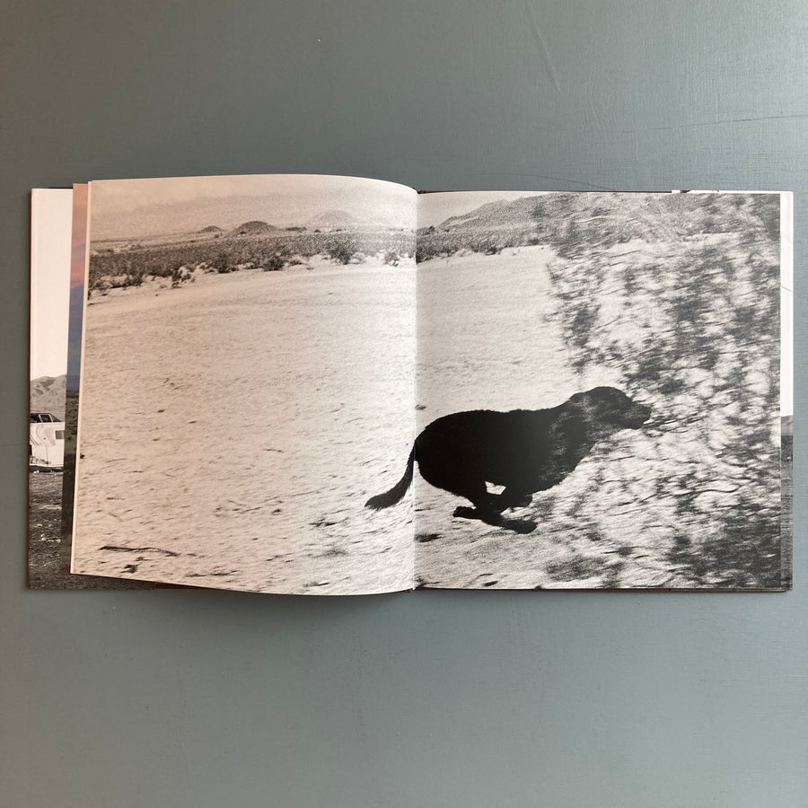 John Divola - Dogs Chasing my Car in the Desert - Nazraeli Press 2004