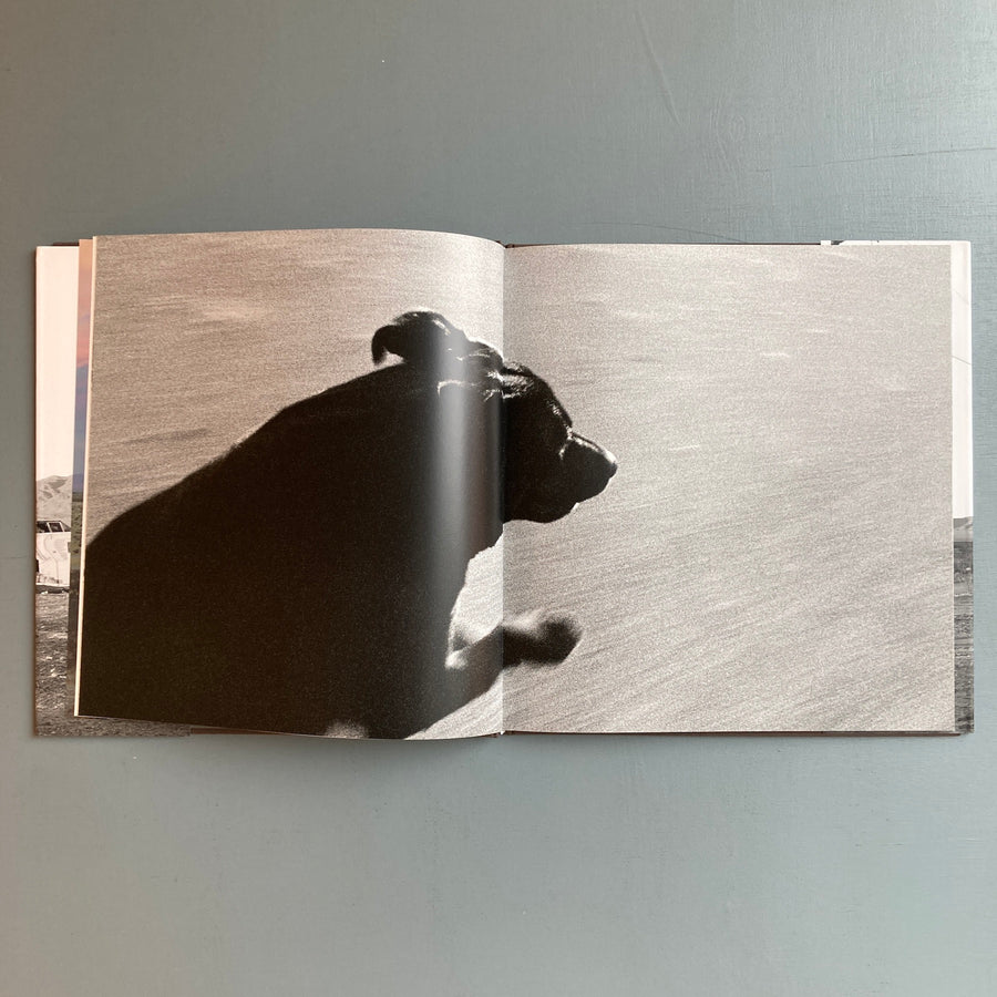 John Divola - Dogs Chasing my Car in the Desert - Nazraeli Press 2004
