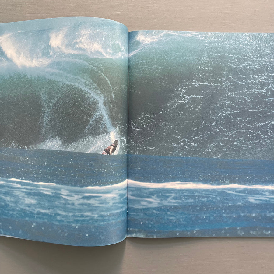 Magali Reus - Surfer - La Salle De Bains 2011 - Saint-Martin Bookshop