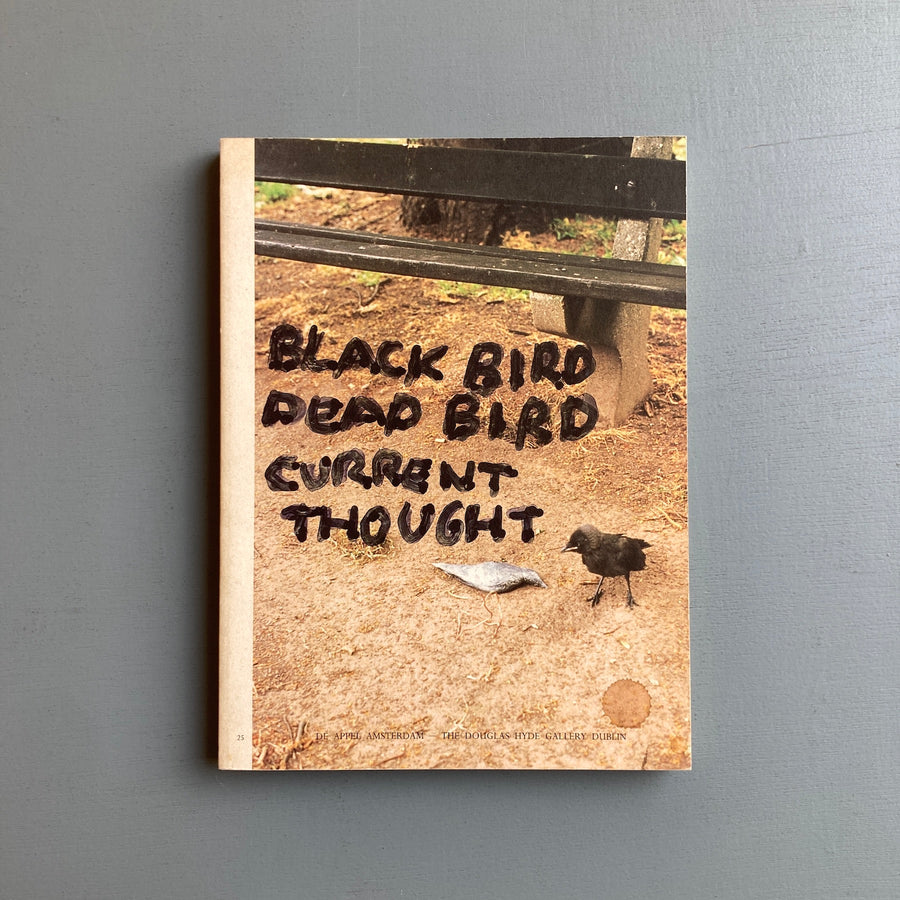 Mark Manders - Fragments from self-portrait at a building - The Douglas Hyde Gallery - Saint-Martin Bookshop