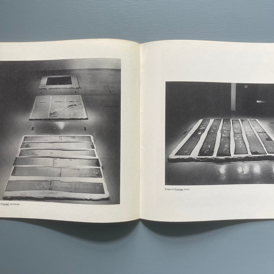 Ludwig Redl/Pino Spagnulo - Holograms/Installations - Newport Harbor Art Museum 1977 - Saint-Martin Bookshop