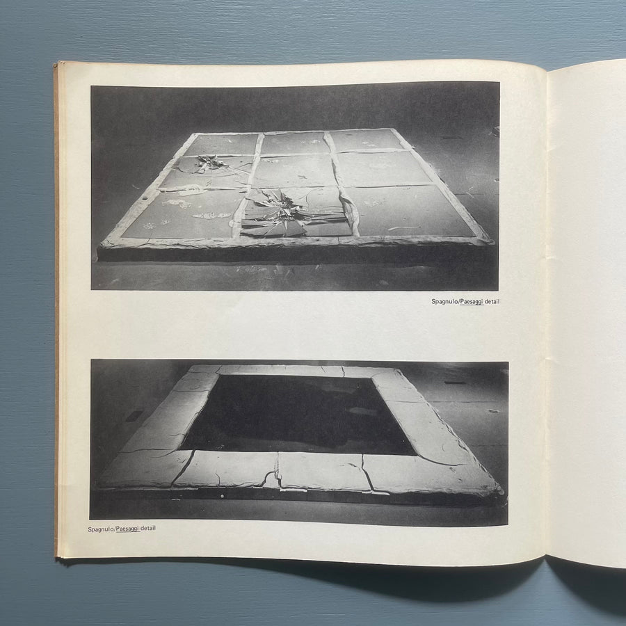 Ludwig Redl/Pino Spagnulo - Holograms/Installations - Newport Harbor Art Museum 1977 - Saint-Martin Bookshop