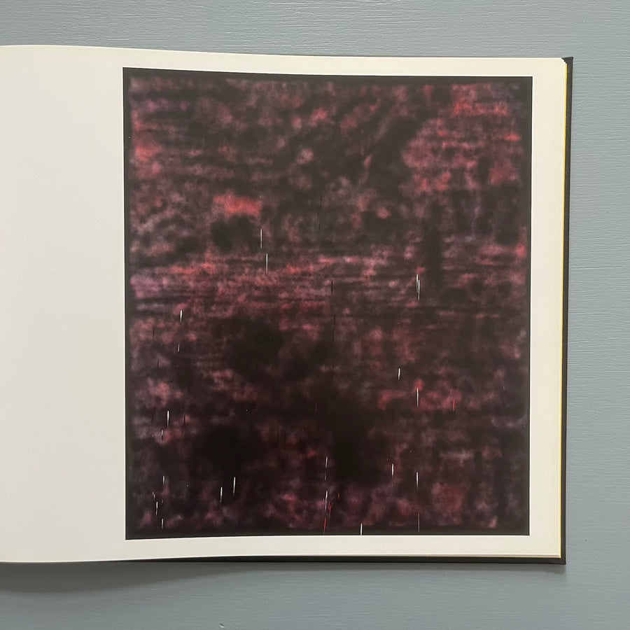 Sterling Ruby - Paintings - Xavier Hufkens 2011 - Saint-Martin Bookshop