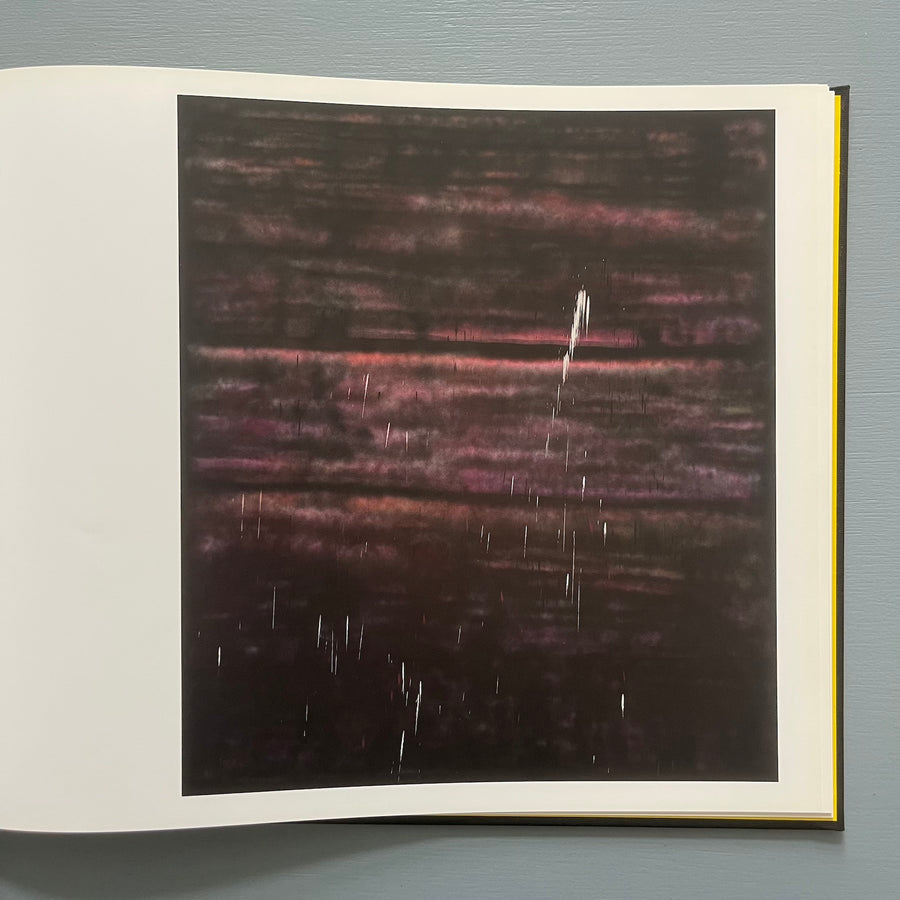 Sterling Ruby - Paintings - Xavier Hufkens 2011 - Saint-Martin Bookshop