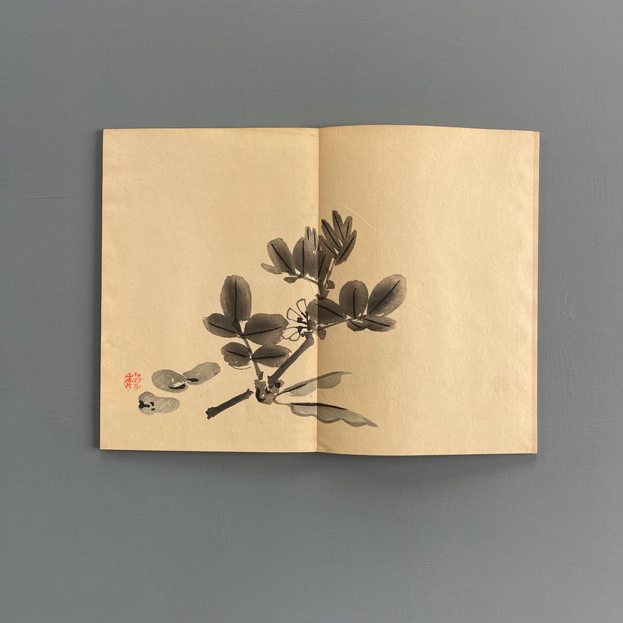 Keinen Imao - Keinen shūgajō v1, v2, v3 - Yamada Unsōdō 1906 - Saint-Martin Bookshop