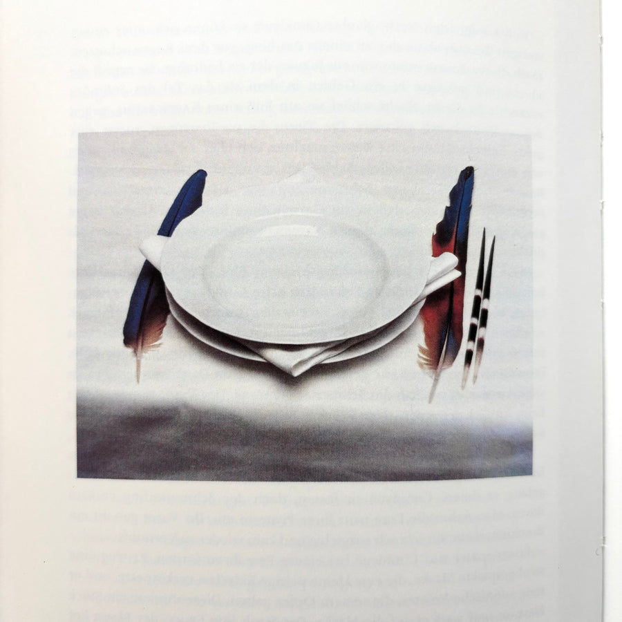 Lothar Baumgarten - Die Namen der Bäume: Hylaea - Van Abbemuseum 1982 - Saint-Martin Bookshop