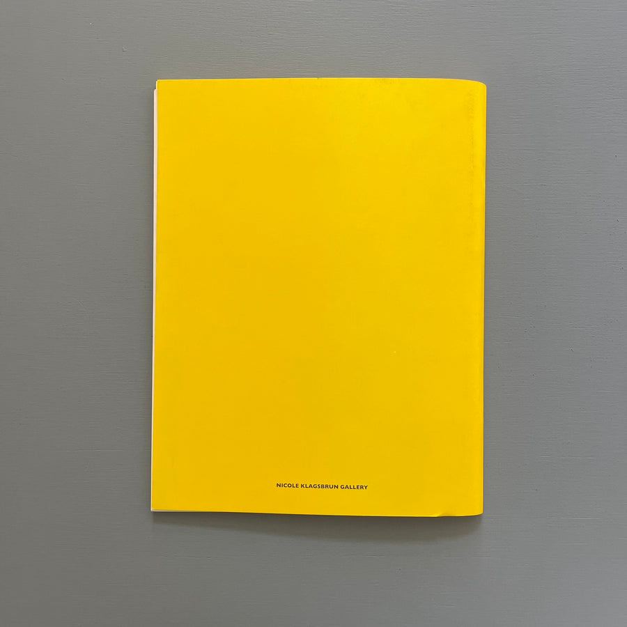 Adam McEwen - I am curious yellow - Nicole Klagsbrun Gallery 2010 - Saint-Martin Bookshop