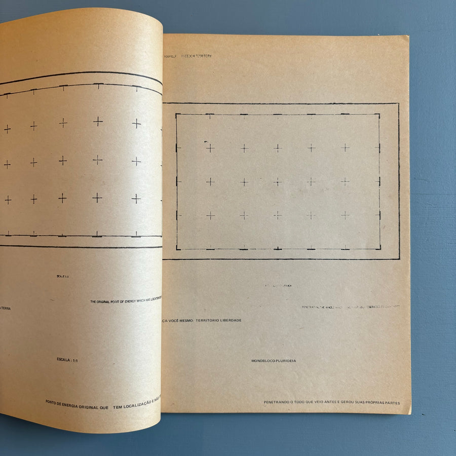 Antonio Dias - Política : ele não acha mais graça no público das próprias graça - Universidade Federal da Paraíba - Núcleo de Arte Contemporânea	1979 - Saint-Martin Bookshop