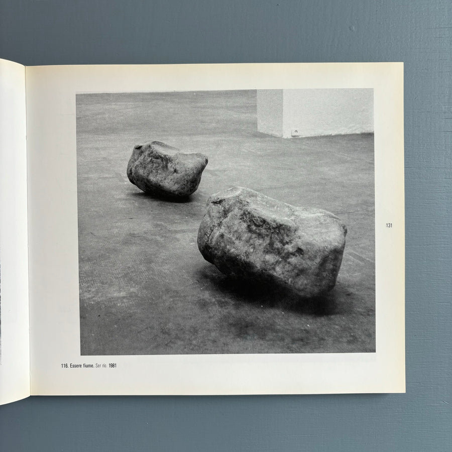 Germano Celant - Del Arte Povera a 1985 - Ministerio de cultura 1985 - Saint-Martin Bookshop