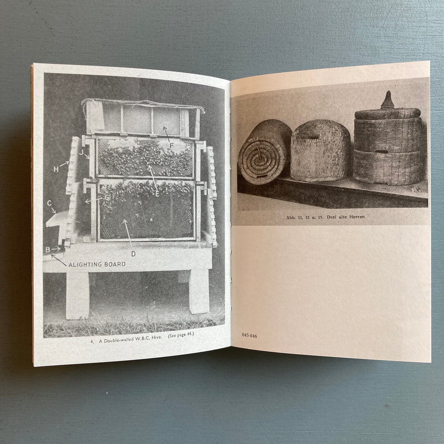 Apian (Aladin Borioli) - Hives, 2400 B.C.E. – 1852 C.E. - RVB 2024 - Saint-Martin Bookshop