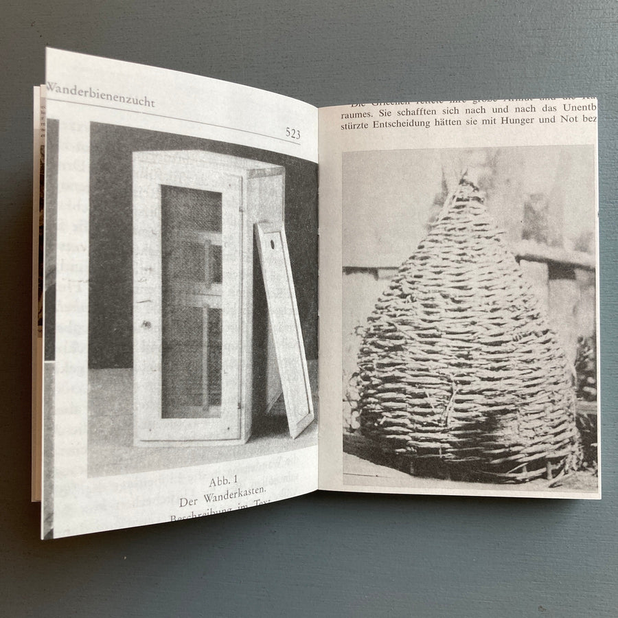 Apian (Aladin Borioli) - Hives, 2400 B.C.E. – 1852 C.E. - RVB 2024 - Saint-Martin Bookshop
