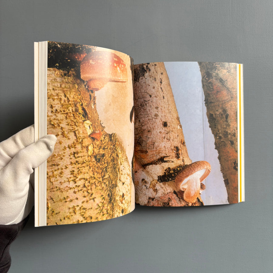 Olafur Eliasson - The mediated motion - Kunsthaus Bregenz 2002 - Saint-Martin Bookshop