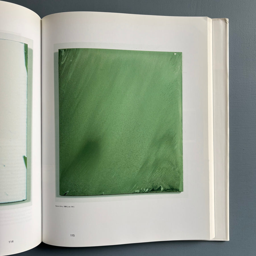 Marthe Wéry - Penser en peinture (1968-2000) - Ludion 2001 - Saint-Martin Bookshop