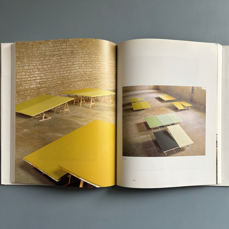 Marthe Wéry - Penser en peinture (1968-2000) - Ludion 2001 - Saint-Martin Bookshop