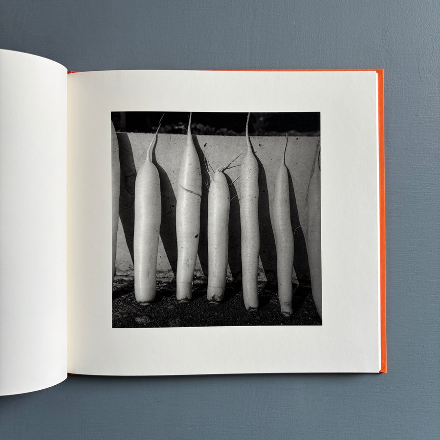 Kozo Miyoshi - A long interview with Kozo Miyoshi - Cairo Apartment 2025 - Saint-Martin Bookshop