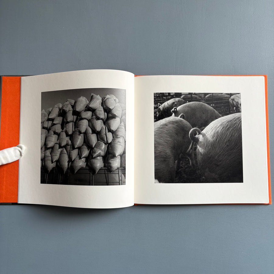 Kozo Miyoshi - A long interview with Kozo Miyoshi - Cairo Apartment 2025 - Saint-Martin Bookshop