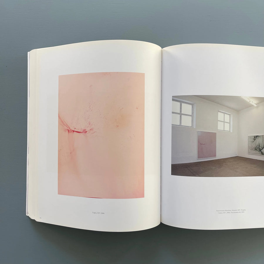 Wolfgang Tillmans - Lighter - Hatje Cantz 2008 - Saint-Martin Bookshop