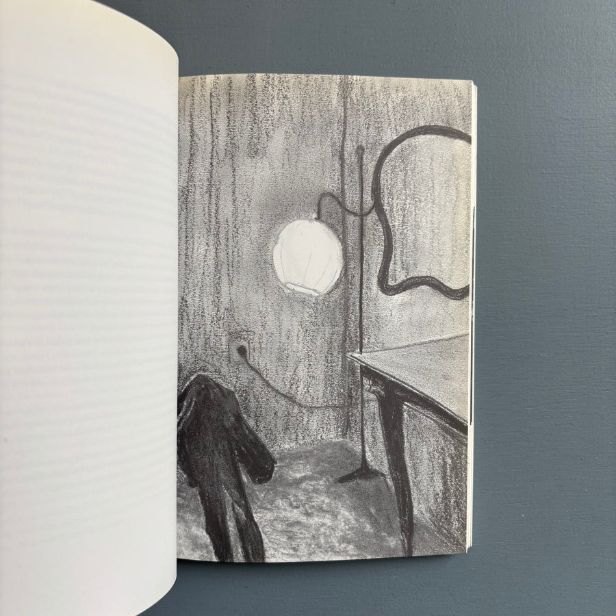 Jimmie Durham - Between the Furniture and the Building - König 1998 - Saint-Martin Bookshop