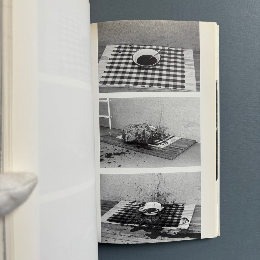 Jimmie Durham - Between the Furniture and the Building - König 1998 - Saint-Martin Bookshop