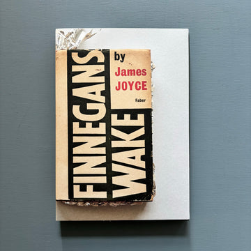 Reading Finnegans Wake by Ximena Pérez Grobet - Facsimile Edition - Nowhereman Press 2022 - Saint-Martin Bookshop