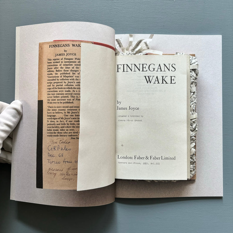 Reading Finnegans Wake by Ximena Pérez Grobet - Facsimile Edition - Nowhereman Press 2022 - Saint-Martin Bookshop