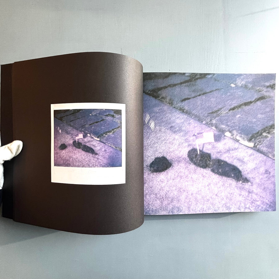 Dash Snow - Polaroids - Peres Project 2008 - Saint-Martin Bookshop