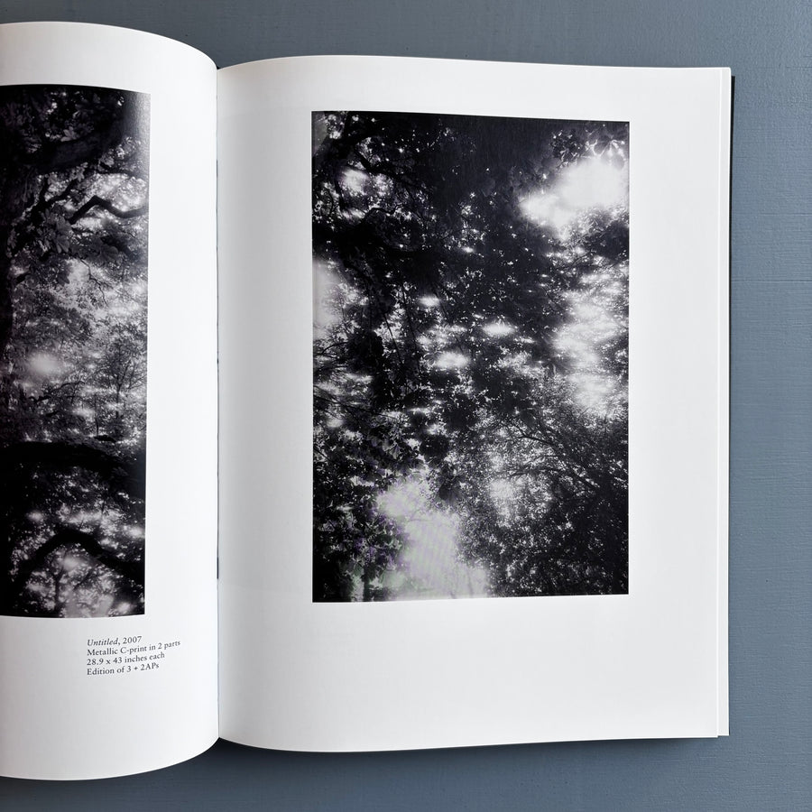 Dash Snow - God spoiled a perfect asshole when he put teeth in yer mouth - Peres Projects 2009 - Saint-Martin Bookshop