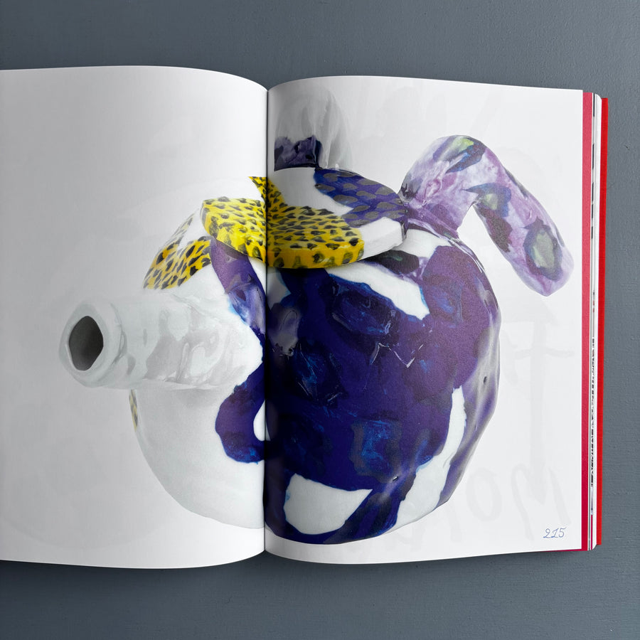 Afra Eisma - Splashdown tender - Page Not Found 2025 - Saint-Martin Bookshop