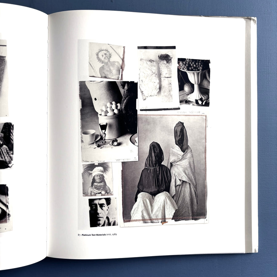 Irving Penn - Platinium Prints - Saint-Martin Bookshop