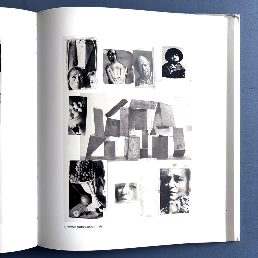 Irving Penn - Platinium Prints - Saint-Martin Bookshop