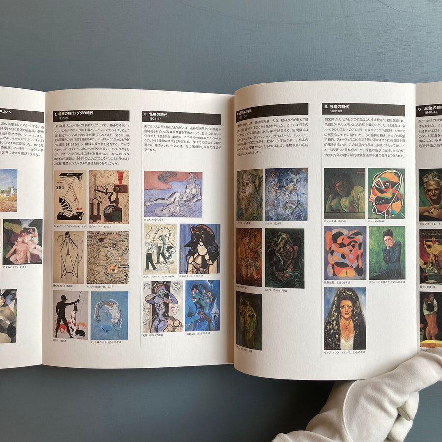 Francis Picabia 1999-2000 - APT International Inc. 1999 - Saint-Martin Bookshop