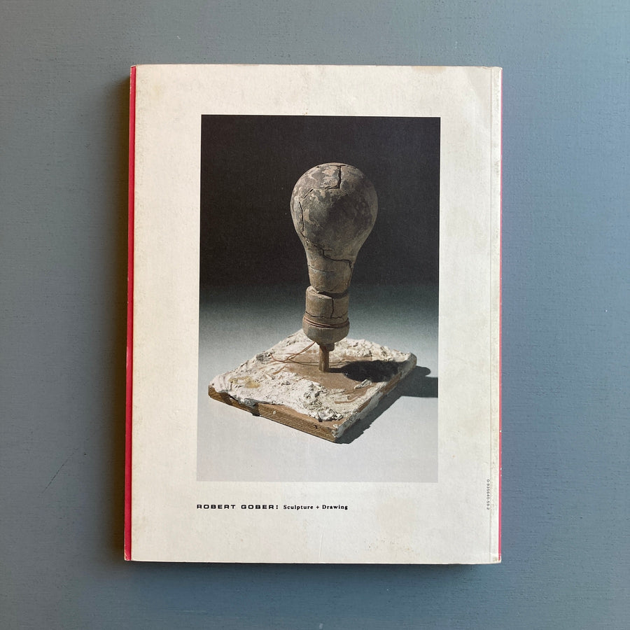 Robert Gober: Sculpture + Drawing - Flood / Walker Art Center 1999 - Saint-Martin Bookshop
