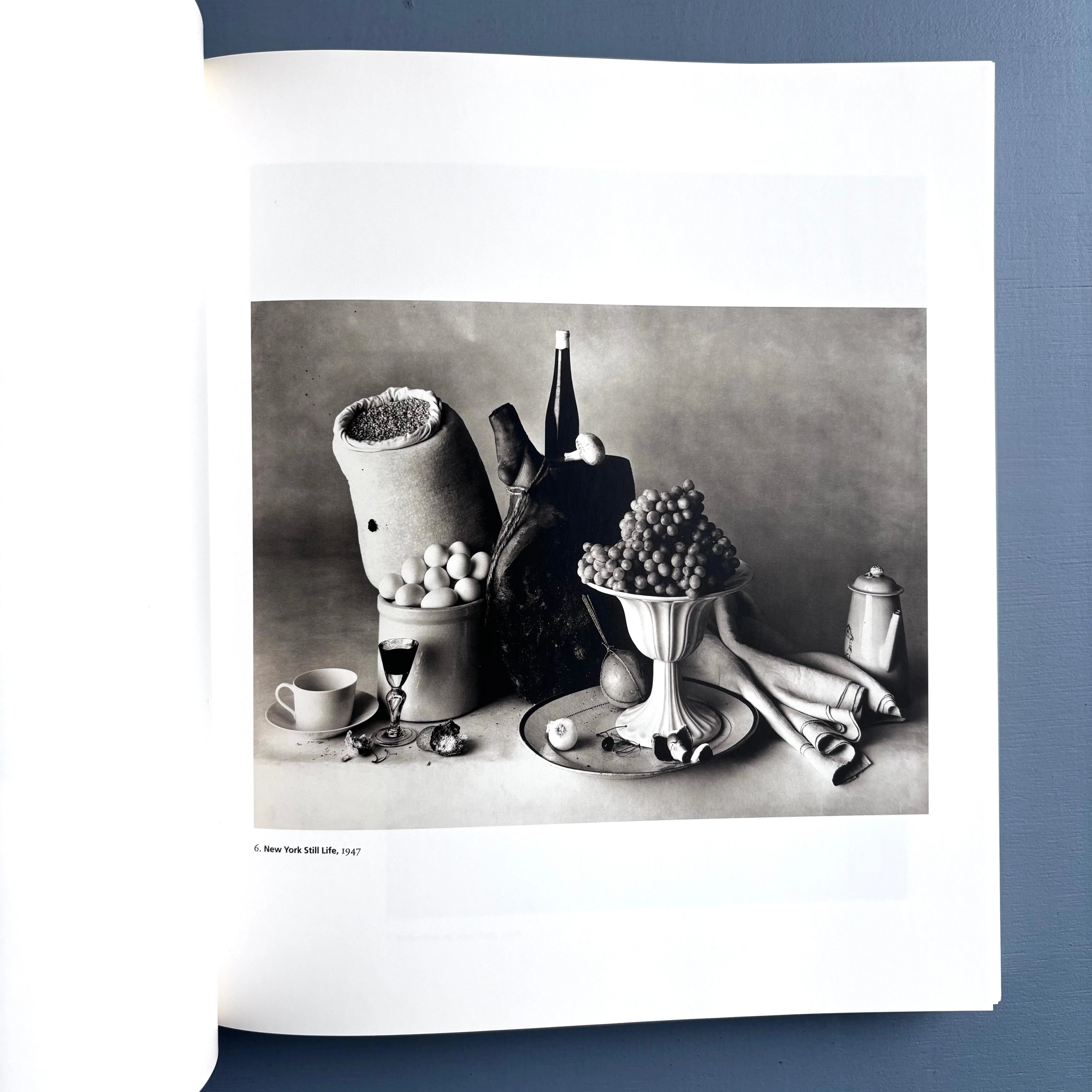 Irving Penn - Platinum Prints - National Gallery of Art 2005