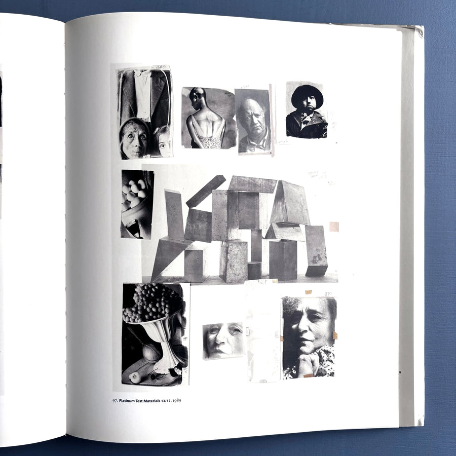 【Irving Penn: Platinum Prints】未読・美本 Irving Penn - Platinum Prints - National Gallery of Art 2005